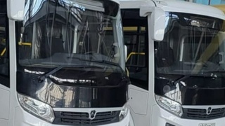 Новые автобусы / Фото: пресс-служба мэрии