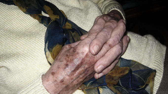 Руки пожилой женщины / Фото: pxhere.com
