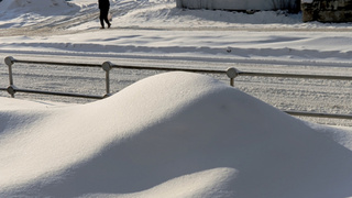 Последствия снегопада в Барнауле 13 марта / Фото: Екатерина Смолихина / amic.ru