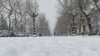 Снегопад в Барнауле / Фото: amic.ru / Екатерина Смолихина