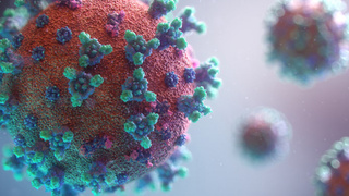 Вирус / Фото: unsplash.com        
