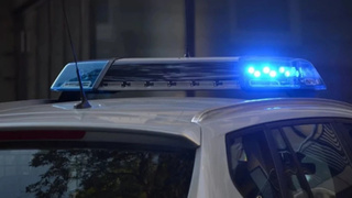 Полицейская мигалка / Фото: pexels.com