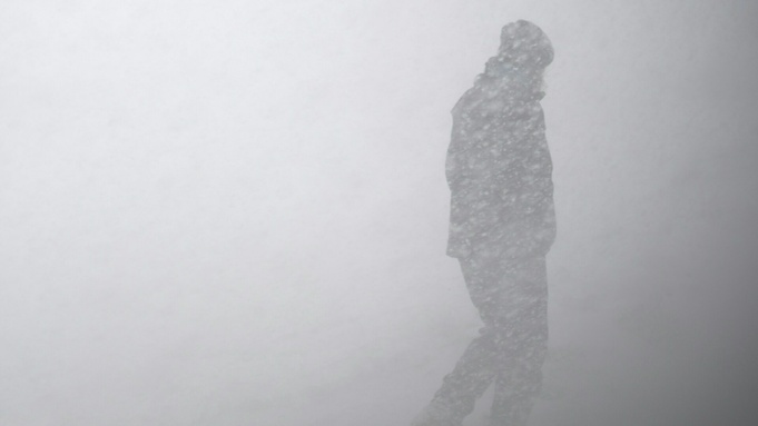 Метель / Фото: unsplash.com / Zac Durant