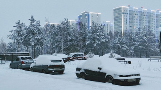 Улица в Барнауле / Фото: Екатерина Смолихина / amic.ru