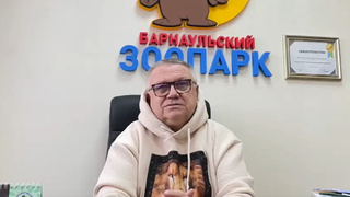 Сергей Писарев / Кадр из видео, опубликованного в соцсетях