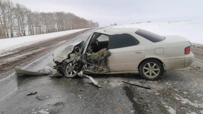 Источник: Госавтоинспекция Алтайского края