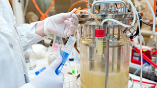 Ученые за работой / Фото: pxhere.com