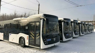 Новые автобусы поступили в Барнаул / Фото: t.me/mintrans22