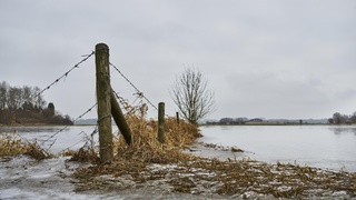 Паводок / Фото: Image by wirestock on Freepik