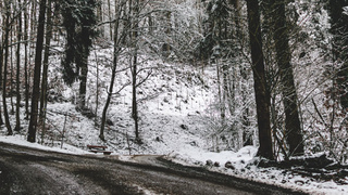 Заснеженная проселочная дорога / Фото: unsplash.com