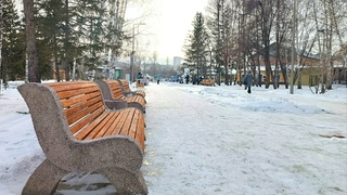 Парк "Центральный" / Фото: пресс-служба мэрии Барнаула