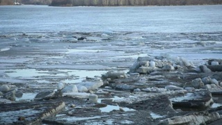Начало ледохода на Оби / Фото: из архива amic.ru