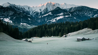 Лес на фоне гор / Фото: unsplash.com