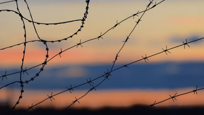 Колючая проволока / Фото: unsplash.com