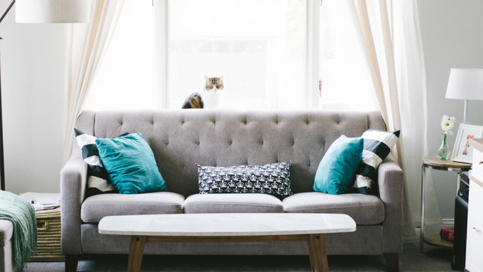 Диван в квартире / Фото: unsplash.com