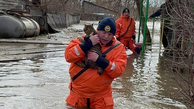 Спасатель с котом / ГУ МЧС России по Алтайскому краю