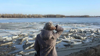 Весна / Фото: Екатерина Смолихина / amic.ru 