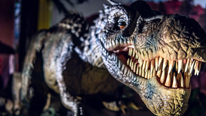 Динозавр / Фото предоставлено организаторами выставки