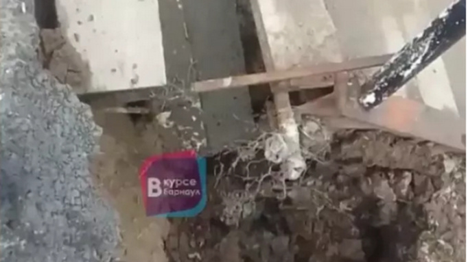 Фото: кадры видео "В курсе 22"    