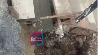 Фото: кадры видео "В курсе 22"    