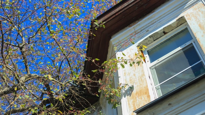 Дом / Фото: Екатерина Смолихина / amic.ru