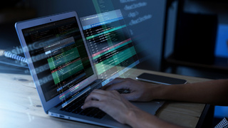 Ноутбук. Программирование / Фото: freepik.com