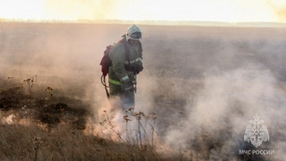Природный пожар / Фото: ГУ МЧС России по Алтайскому краю