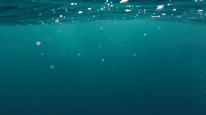 Под водой / Фото: unsplash.com    