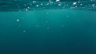 Под водой / Фото: unsplash.com    