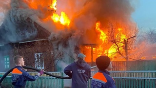 Пожар в Михайловском районе / Фото: УГОЧС и ПБ Алтайского края