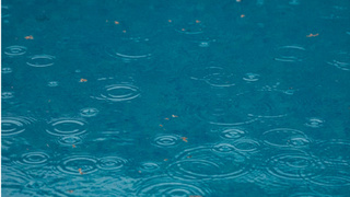 Капли дождя в луже / Фото: unsplash.com