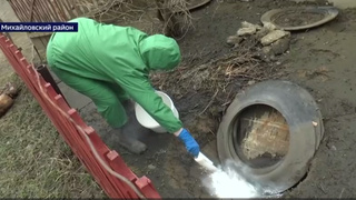 Кадр из сюжета / Вести. Алтай     