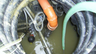 Нечистоты / Фото: pxhere.com      