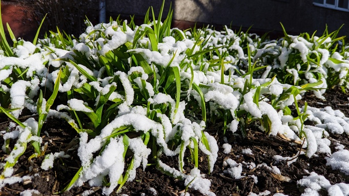 Теплая зима в Барнауле / Фото: Екатерина Смолихина / amic.ru
