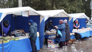 Ярмарка в Барнауле / Фото: barnaul.org