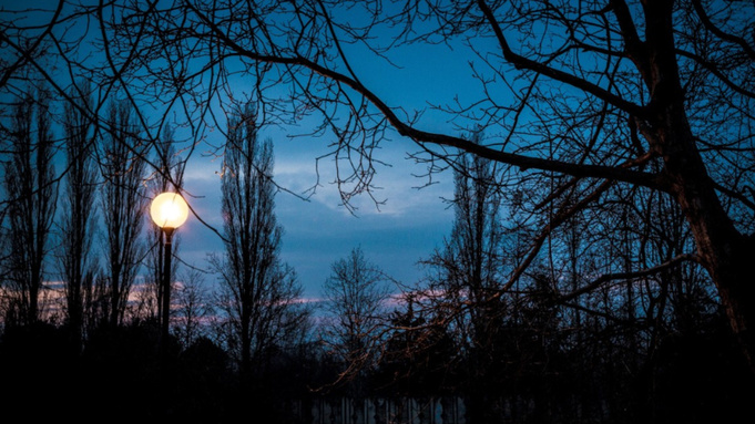 Весенняя ночь / Фото: pxhere.com/ru/photo/745364