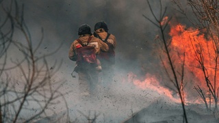 Сотрудники МЧС на природном пожаре / Фото: unsplash.com