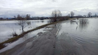 Затопленная дорога в Алтайском крае / Фото: t.me/mintrans22