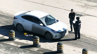 Проверка на дороге / Фото: телеграм-канал "АСТ-54"