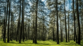 Апрельский день / Изображение: нейросеть Kandinsky