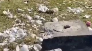 Кадр из видео / "Деловой Бийск"    