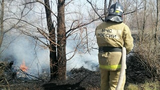 Травяной пожар / Фото: МЧС Алтайского края