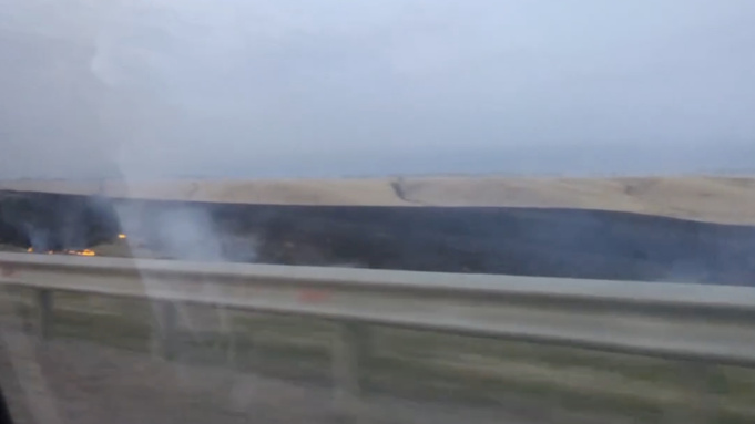 Отжиг травы в Калманском районе / Кадр: "Вести Алтай"