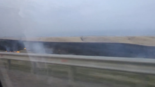 Отжиг травы в Калманском районе / Кадр: "Вести Алтай"