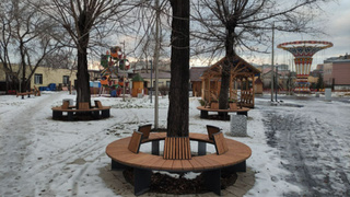 Парк "Центральный" в Барнауле/ Фото: amic.ru