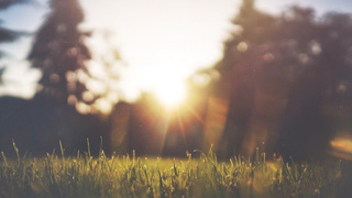 Солнце / Фото: pxhere.com/ru/photo/99190