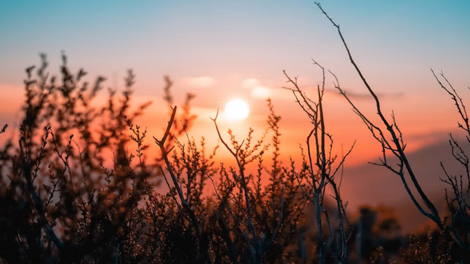 Рассвет /  Фото: unsplash.com             