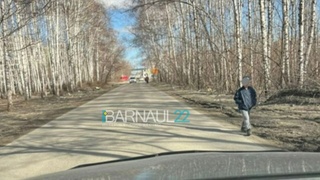 Дорога в Солнечной поляне / Фото: Barnaul 22