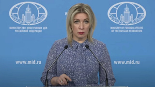 Мария Захарова / Кадр из видео: YouTube