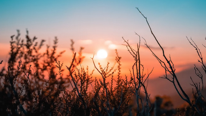 Рассвет / Фото: unsplash.com      